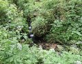 20250608_125620.jpg