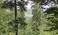 20250608_131056.jpg