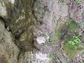 20250608_132329.jpg
