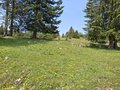20250609_114908.jpg