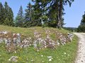 20250609_120044.jpg