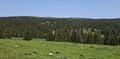 20250609_120751.jpg