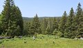 20250609_123124.jpg