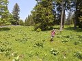 20250609_134658.jpg