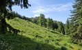 20250615_104345.jpg