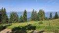 20250615_104351.jpg