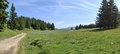20250615_104811_-_20250615_104812.jpg