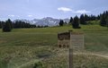 20250615_110112.jpg