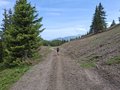 20250615_114808.jpg