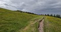20250615_115032.jpg