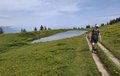 20250615_115334.jpg