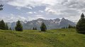 20250615_115640.jpg
