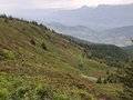 20250615_132347.jpg