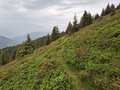 20250615_132555.jpg