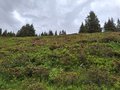 20250615_132803.jpg