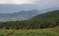 20250615_133404.jpg