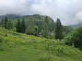 20250616_102935.jpg