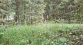 20250616_103246.jpg