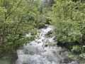 20250616_104202.jpg