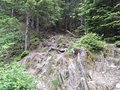 20250616_113105.jpg