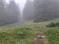 20250616_115919.jpg