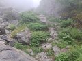 20250616_121235.jpg