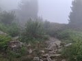 20250616_130315.jpg
