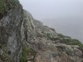 20250616_132204.jpg