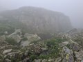20250616_140317.jpg