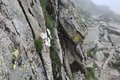 20250616_140523.jpg