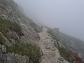 20250616_141231.jpg