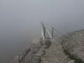 20250616_142517.jpg