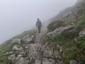 20250616_150517.jpg