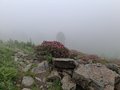 20250616_155028.jpg