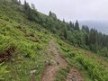 20250616_155908.jpg