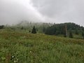 20250616_160619.jpg