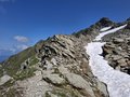 20250617_132055.jpg