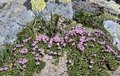 20250617_135303.jpg