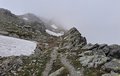 20250617_141155.jpg