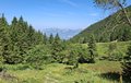 20250618_104333.jpg