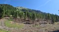 20250618_105959.jpg