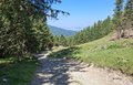 20250618_111256.jpg