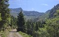 20250618_112157.jpg