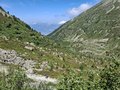 20250618_115046.jpg