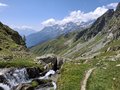 20250618_125907.jpg