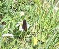20250618_134723.jpg