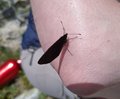 20250618_134916.jpg