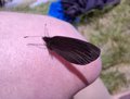20250618_134941.jpg