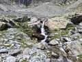 20250618_140437.jpg