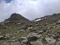 20250618_141745.jpg